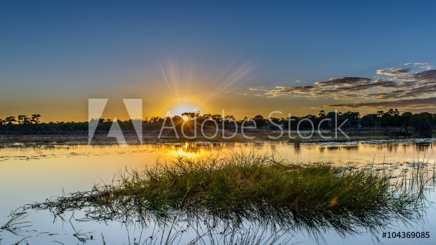 Bild på Okavango sunset